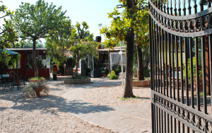 ingresso-cancello-principale-circolo Le Magnolie - Circolo Sportivo ingresso