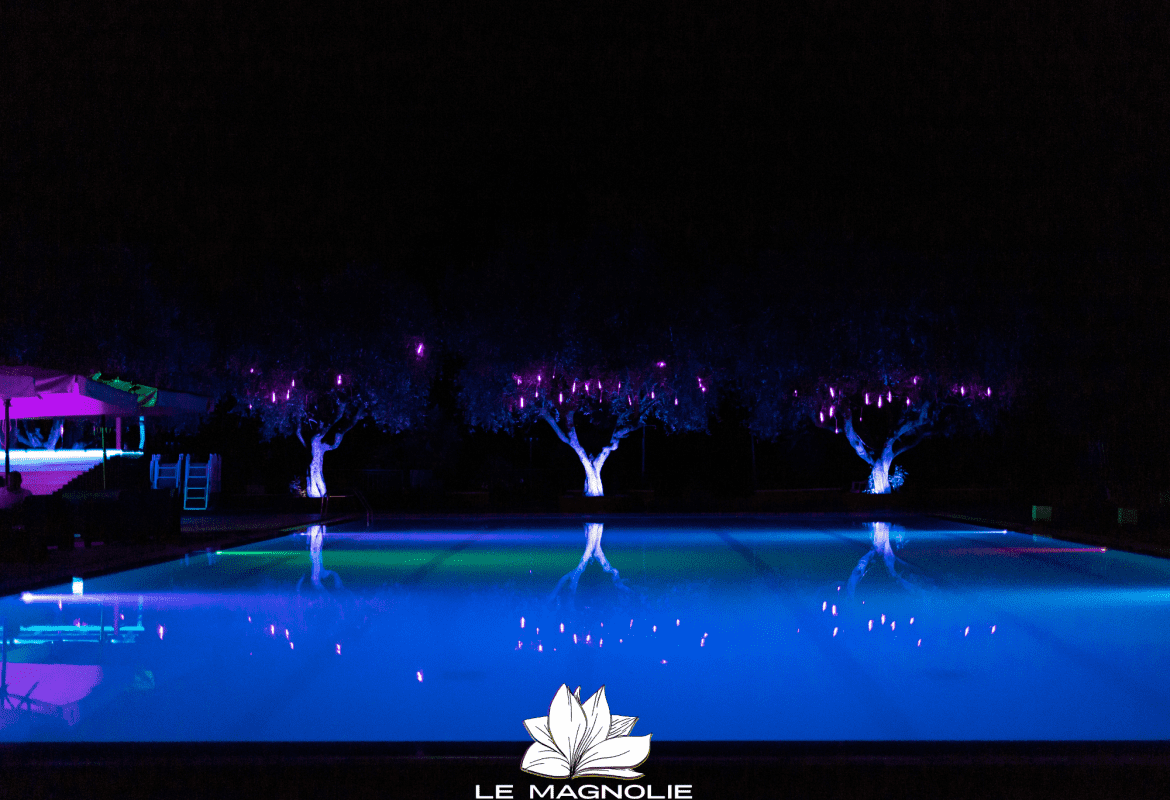 Magnolie lounge bar by night