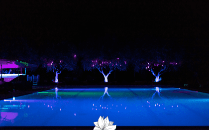 Magnolie lounge bar by night