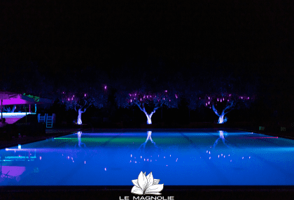 Magnolie lounge bar by night