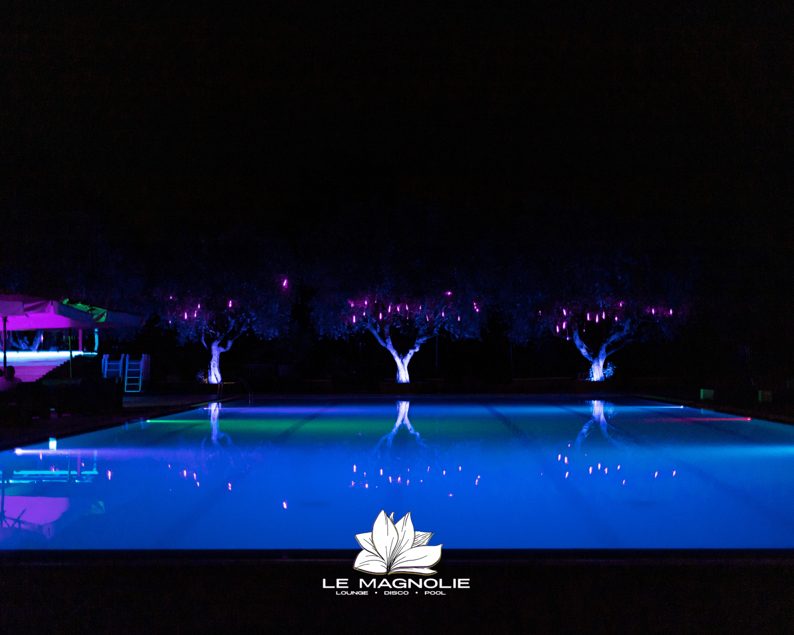 Magnolie lounge bar by night