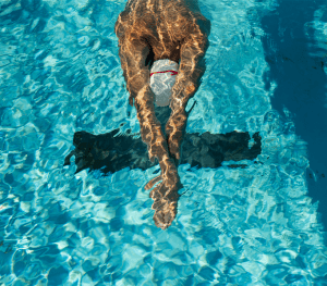 nuotatore-icona nuotatore icona