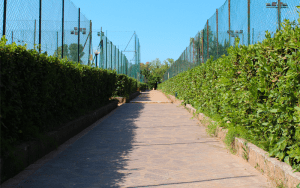 viale dei campi da tennis