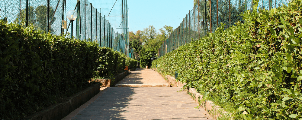 vialetto campi da tennis